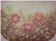 North Dakota Prairie Rose